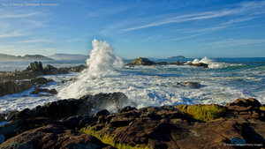 Praia da Armação, Florianópolis, Santa Catarina
