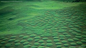 Prairie mounds at Oregon’s Zumwalt Prairie