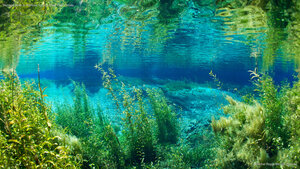 Rainbow River in Rainbow Springs State Park, Florida