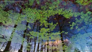 Reflection on the lake at Bergpark Wilhelmshöhe in Kassel, Germany