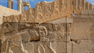 Reliefs in the ancient Persian city of Persepolis, Iran
