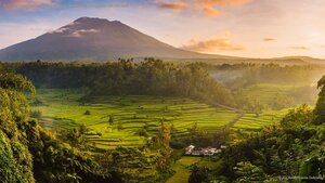 Rice fields in the Sidemen Valley, with Mount Agung in the background, Bali, Indonesia
