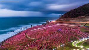 Rice terraces strung with lights, Wajima, Japan