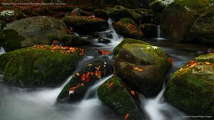 Roaring Fork in Great Smoky Mountains National Park, Tennessee