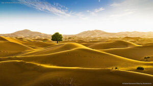 Rub' al Khali desert on the border of Oman and the Emirate of Dubai