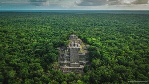 Ruins of the ancient Maya city of Calakmul surrounded by jungle in Campeche, Mexico