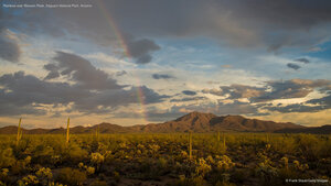 Rainbow over Wasson Peak, Saguaro National Park, Arizona