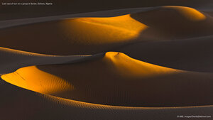 Last rays of sun on a group of dunes, Sahara, Algeria