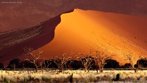 Sand dune, Sossusvlei, Namibia