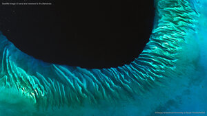 Satellite image of sand and seaweed in the Bahamas