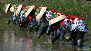 香取神宮の田植え祭, 千葉県 香取市