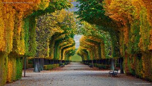 Schönbrunn Palace gardens in Vienna, Austria