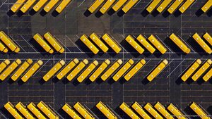 School buses parked in a lot