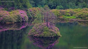 Small loch in Glen Etive, Scotland