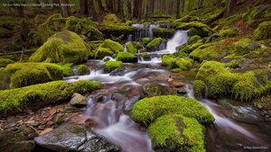 Sol Duc Valley region of Olympic National Park, Washington