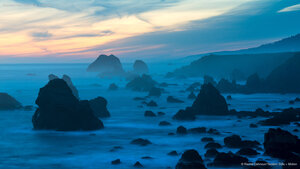 Sonoma Coast State Park, California