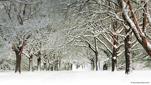 Southampton Common, Southampton, England