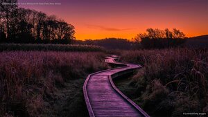 Stairway to Heaven trail in Wawayanda State Park, New Jersey