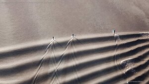 Stand-up paddleboarders riding the bore tide in Turnagain Arm, Cook Inlet, Alaska