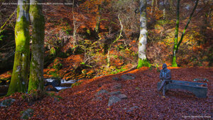 Statue of Robert Burns in the Birks of Aberfeldy, Perth and Kinross, Scotland