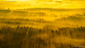 Sunbeams across Tartu County, Estonia