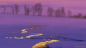 Sunset on a snowy field in Switzerland