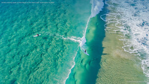 Surfers catching waves at Palm Beach on the Gold Coast, Queensland, Australia