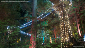 Illuminated Capilano Suspension Bridge Park, Vancouver, British Columbia
