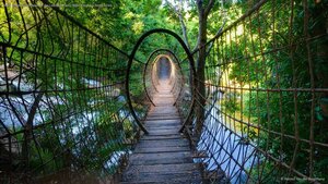 Sway bridge at the Palace of the Lost City, North West Province, South Africa