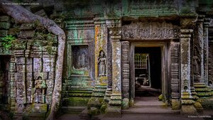 Ta Prohm temple at Angkor, Cambodia