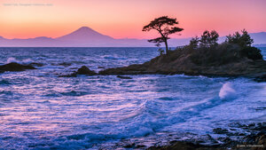 Tateishi Park, Kanagawa Prefecture, Japan
