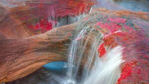 The Caño Cristales River in the Serranía de la Macarena mountains of Colombia