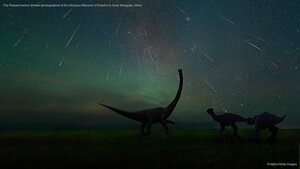 The Perseid meteor shower photographed at the Dinosaur Museum of Erenhot in Inner Mongolia, China