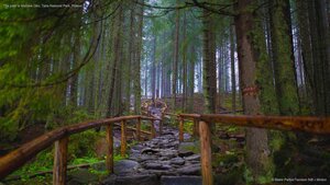 The path to Morskie Oko, Tatra National Park, Poland