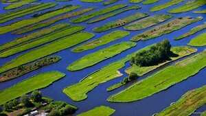 The polder landscape near Jisp, Netherlands