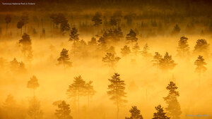 Torronsuo National Park in Finland
