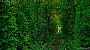 Tunnel of Love in Klevan, Ukraine