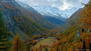 Paesaggio autunnale, Parco Nazionale del Gran Paradiso, Italia