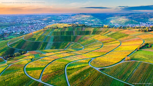 Drohnenansicht der Weinberge im Remstal, Baden-Württemberg