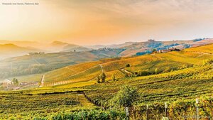 Vineyards near Barolo, Piedmont, Italy