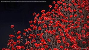 ‘Wave,’ part of ‘Blood Swept Lands and Seas of Red,’ an art installation pictured here at the Imperial War Museum North in Manchester, England