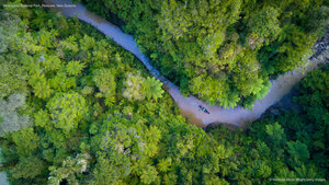 Whanganui National Park, Retaruke, New Zealand