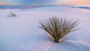 White Sands National Park, New Mexico