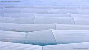 White asparagus cultivation in Abensberg, Germany