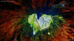 Wilson Stump on Yakushima Island, Japan