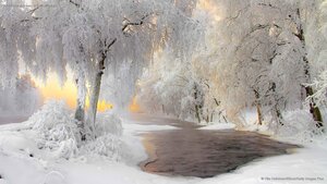 Winter scenery near Kuhmo, Finland