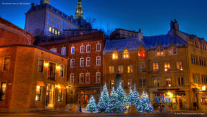 Christmas trees in Old Quebec