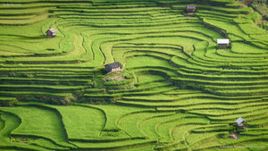 Rice terraces of Mù Cang Chải, Yên Bái province, Vietnam