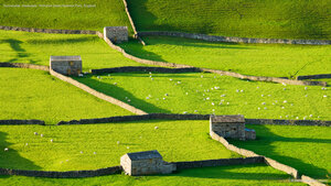 Gunnerside, Swaledale, Yorkshire Dales National Park, England