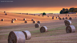 Hay bales, North Yorkshire, England